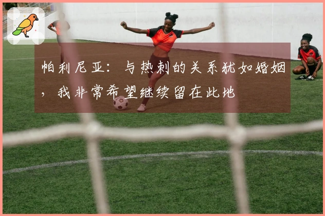 帕利尼亚：与热刺的关系犹如婚姻，我非常希望继续留在此地